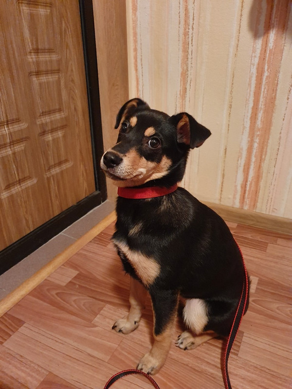 900D9C17-A241-4E1B-B6AE-587E0D1BEAAC