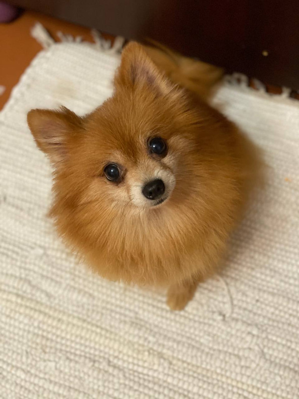 BEF1BA26-D610-4543-AD7D-B3A881812289