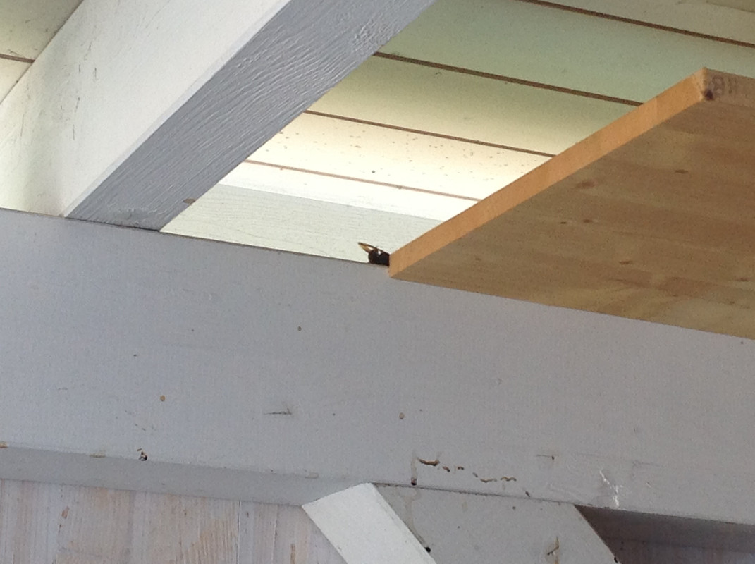 3. Oktober Prinzessinen krabbeln (1)