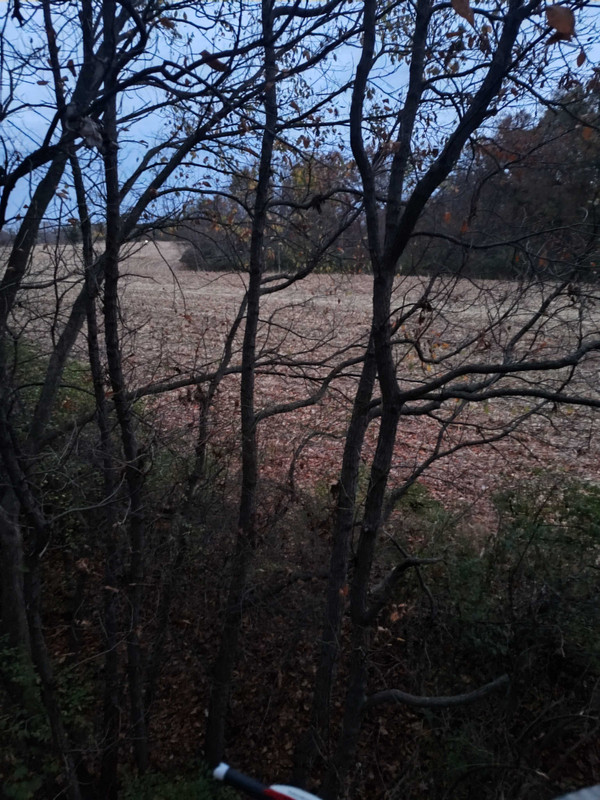 IMG_20241103_061330532