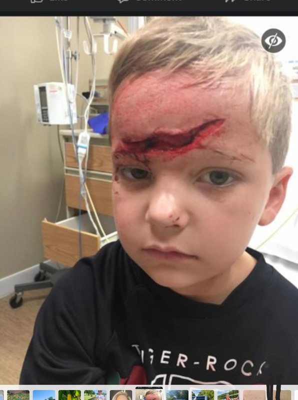 Screenshot_20220831-224705_Gallery