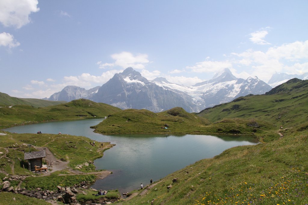 50 sombras del verde en Suiza y Alemania - Blogs de Suiza - SUBIDA AL FIRST- LAGO BACHALPSEE- BAJADA EN TROTIBIKE (5)