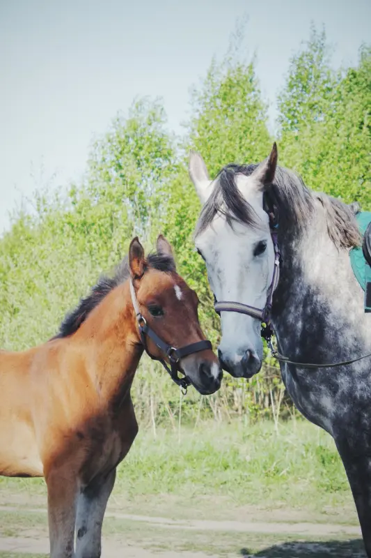 1vfQUgZMv5-6DbyzAqASitWcER4EhjogJoS7wFz31bYqtPpE_UgMJChDGXqwJoUJ2K5fyYozZUFmRLVYtaneRj66