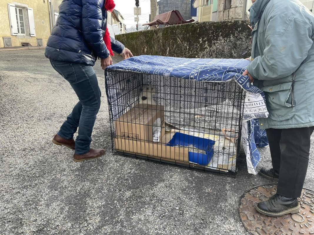 BC46E374-BA1A-4391-AB8C-6505600C5C85