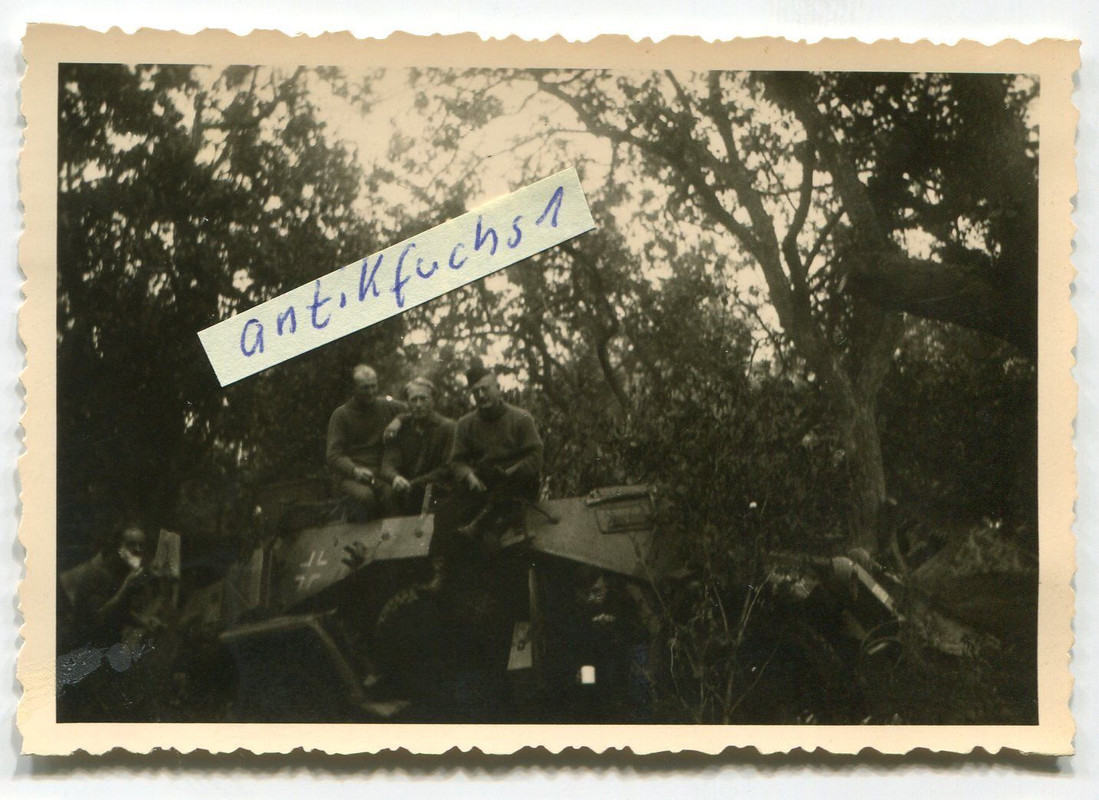 Schützen-Panzer in Front-Waldstellung im 2.WK