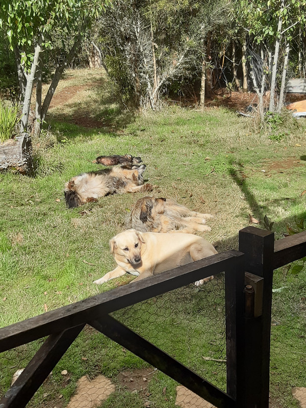 [Image: 20240419-141534.jpg]