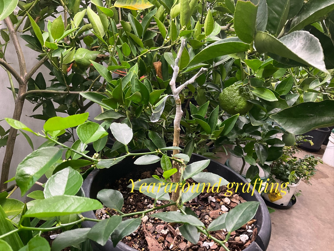 C4B925C8-618A-40CC-88C9-99B81437AFE4