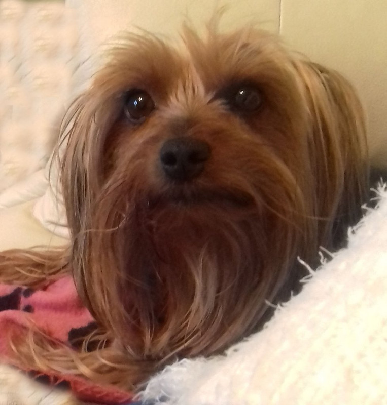 20190406_183533  edit