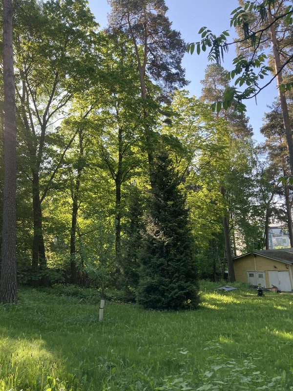 79FF9BD7-D2D3-4475-8D44-D7EFCC6E1F53