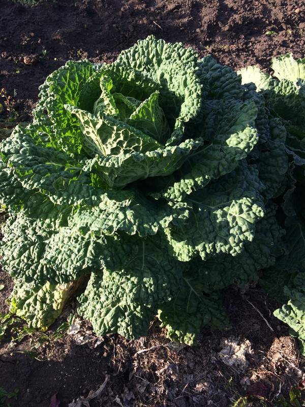 93347109-F4D9-4969-8E2E-027FF1115CB6