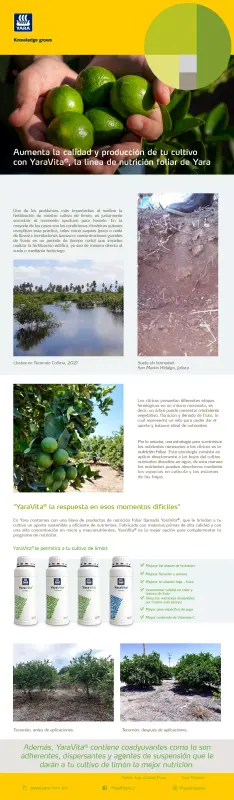 Newsletter YaraVita Cítricos