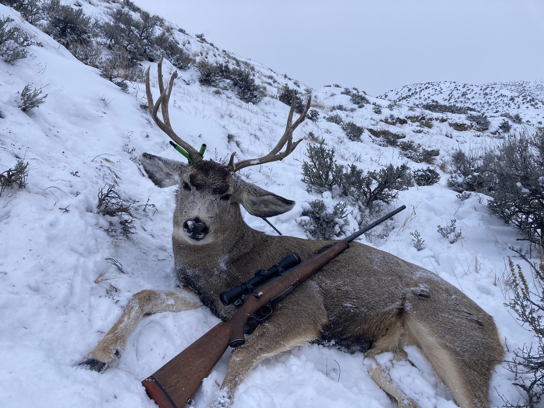 ED802EC5-AA26-4BA1-8089-A35DF99FF656