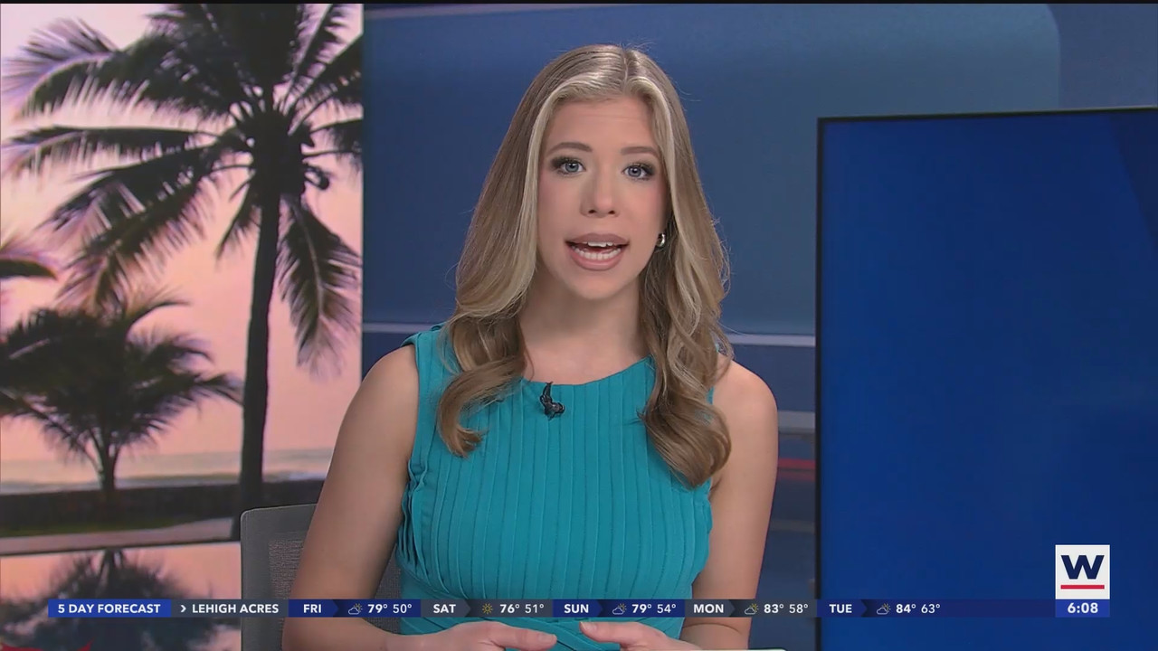 WINK News at 600am_20241206_11001130.ts_snapshot_08.37.845