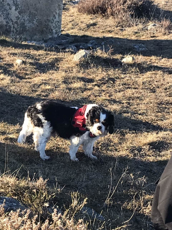 38F981C3-36B5-4E3C-B177-C74ED0D9ED71