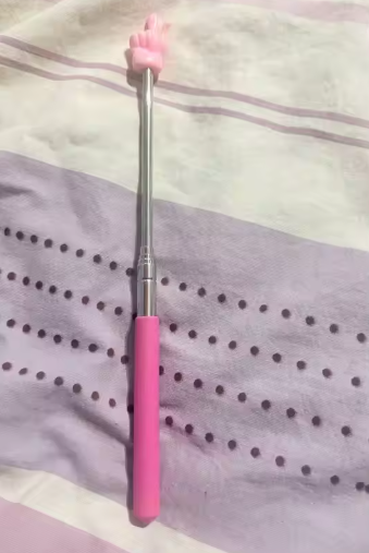 Retractable Classroom Pointer