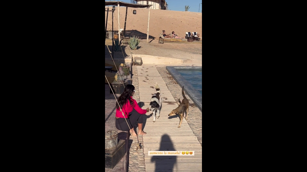 noorvariasmarrac_oso4wwwwwwwww