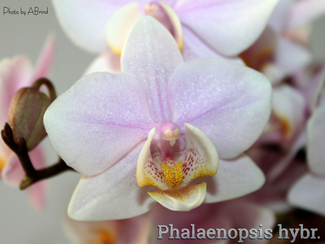 photostudio_1642016951887