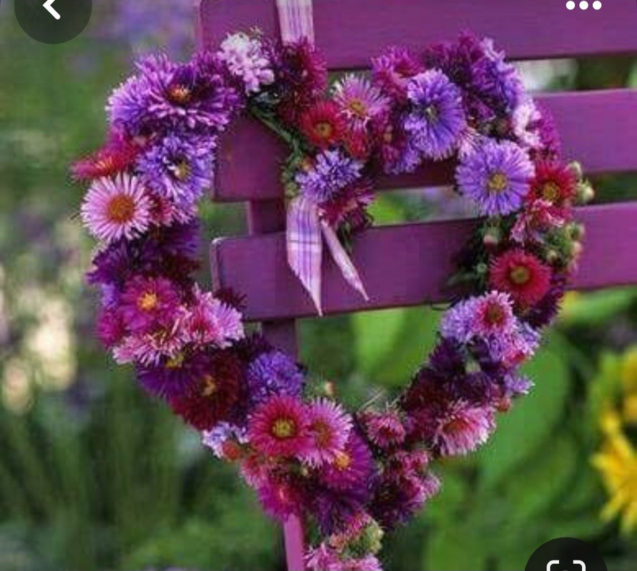 Screenshot_20240214_155311_Pinterest