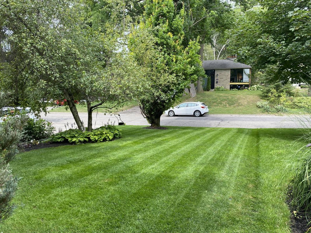 55A9FA25-A0C8-49FF-BD2D-0C8B827A08E3