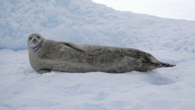 [Linked Image from i.postimg.cc]