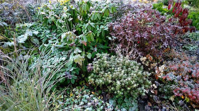 WP_20131112_07_05_31_Pro (2500x1406)