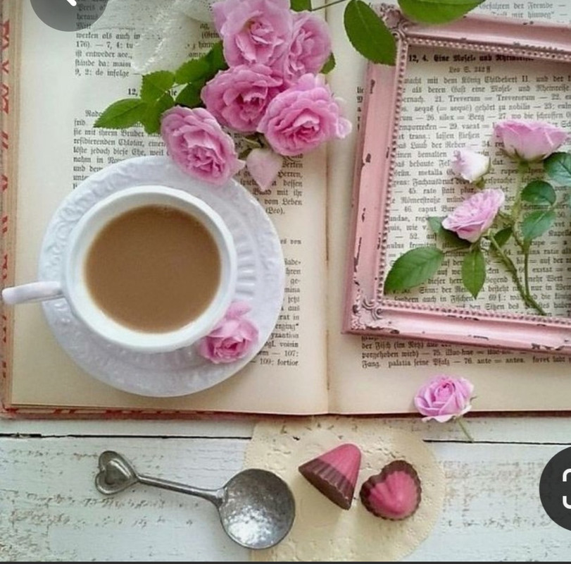 Screenshot_20230316_005450_Pinterest