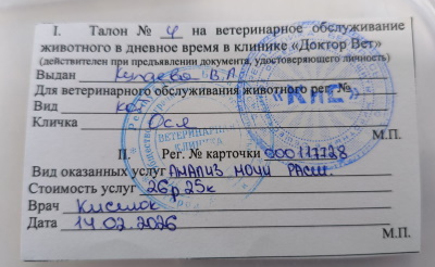 ������� "������� ����"