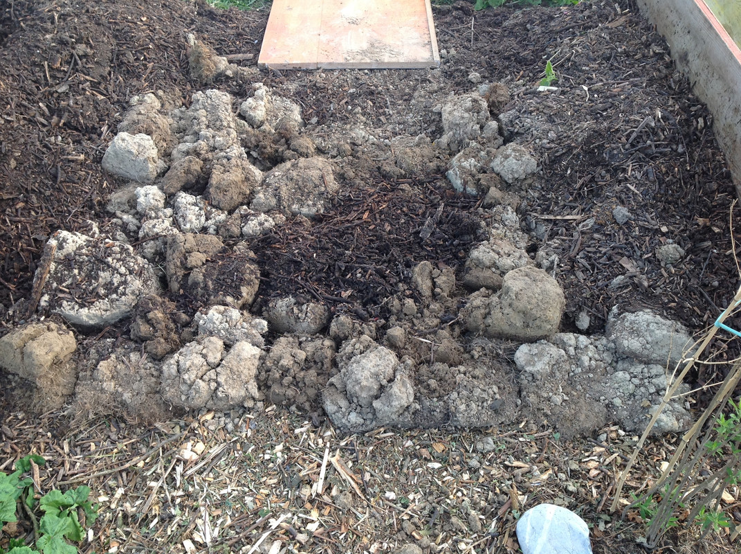 Kompostmiete Aus Drei mach Eins 2.Okt. 2015 (11)