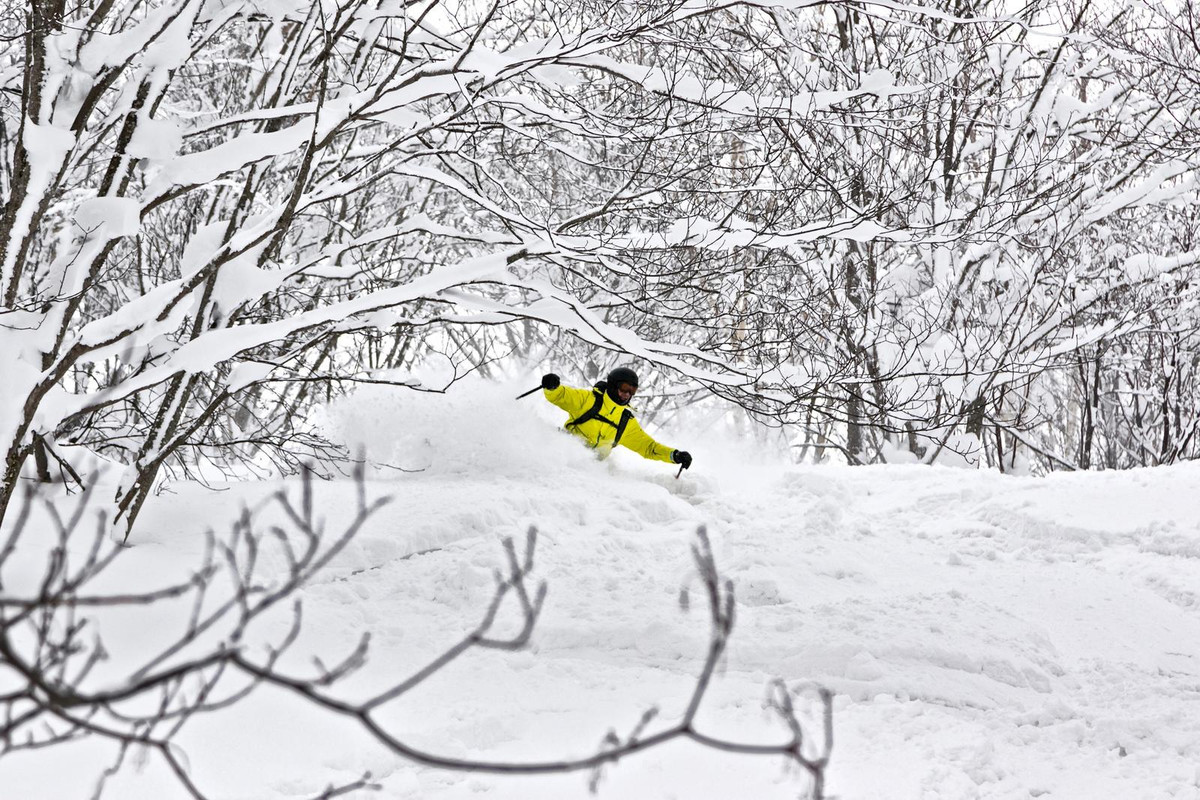 2018-CHAR7074-Niseko_Photography_CW (1)