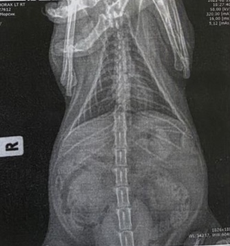 6E6A10A1-71F5-40FA-8EC2-598C925A4372