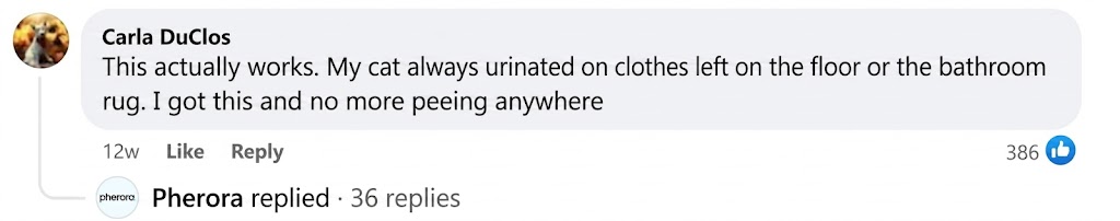 Customer review screenshot 2
