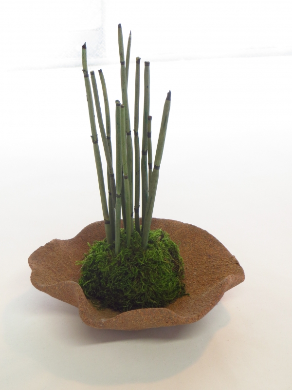 TASKものづくり大賞の受賞作品　コケダマウラジロ