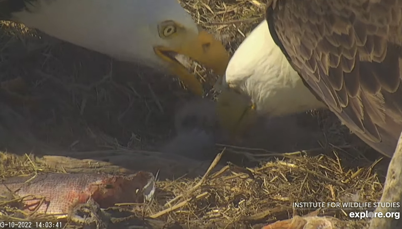 C8DBA18F-968B-40C8-B56A-ED2A0F78322E