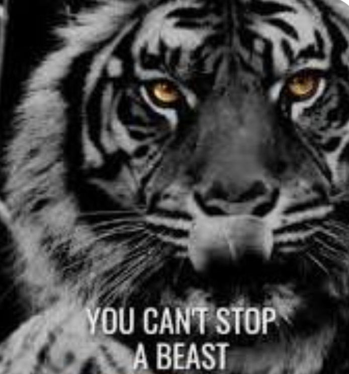 Screenshot_20231018_220400_Google