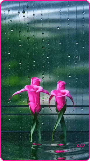 130426-danse-fleurs-pluie-Elena