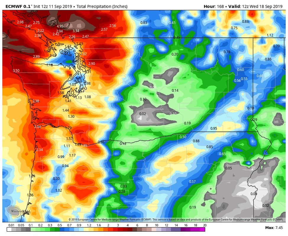 ecmwf-washington-total-precip-inch-88080