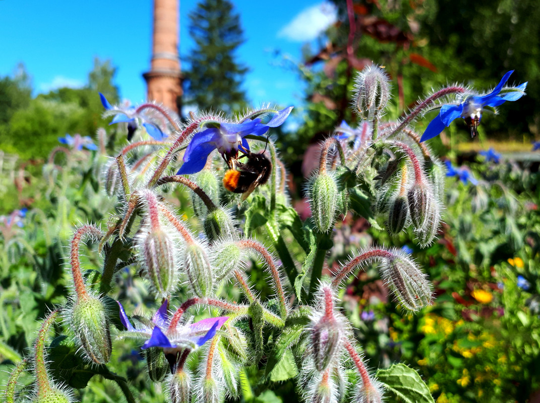 20180712_065445