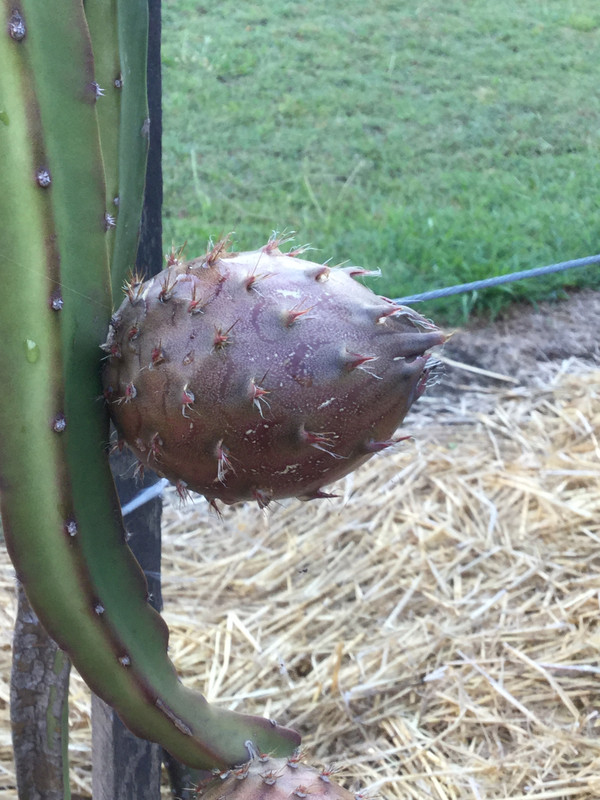 C834D020-4954-4D41-8D68-ADFE066743C2