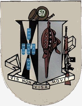 CCac617-3