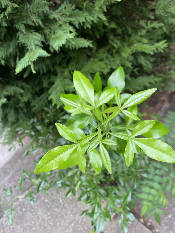 1E59781E-0E03-4ED4-88BC-6FDDA633E121