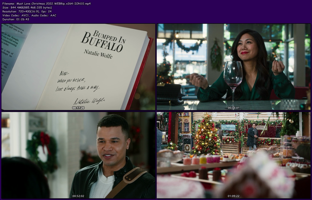 Must-Love-Christmas-2022-WEBRip-x264-ION10.png