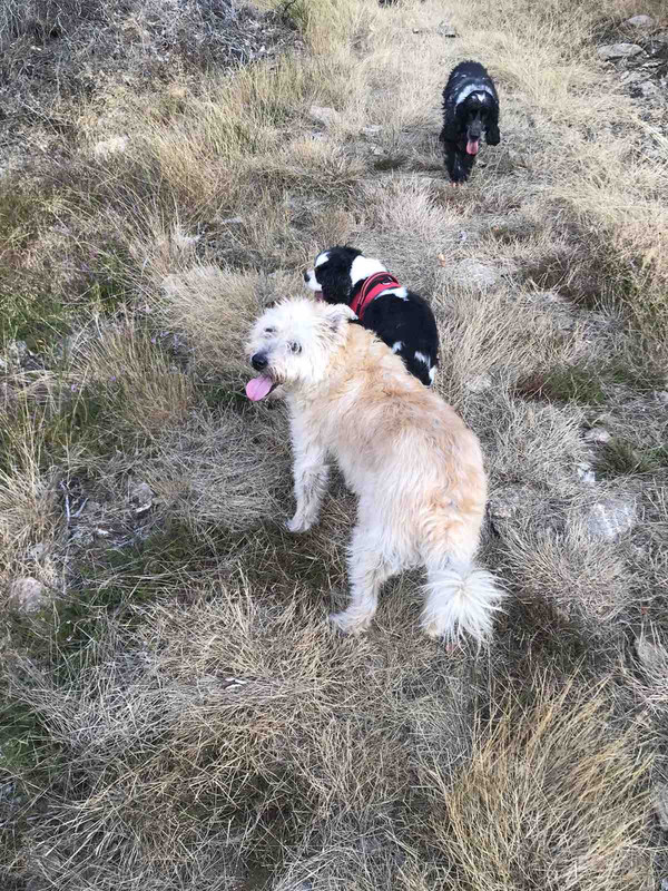 1BAEFFAA-322E-4B36-866E-2BF79530BB3B