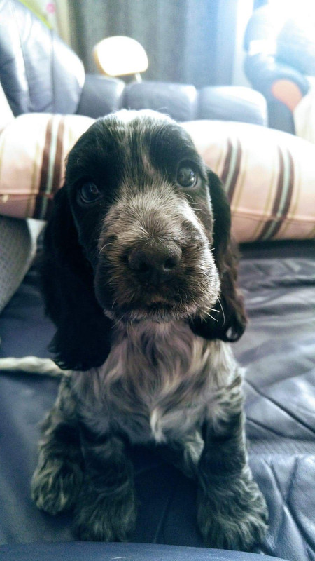 received_1261183280697269