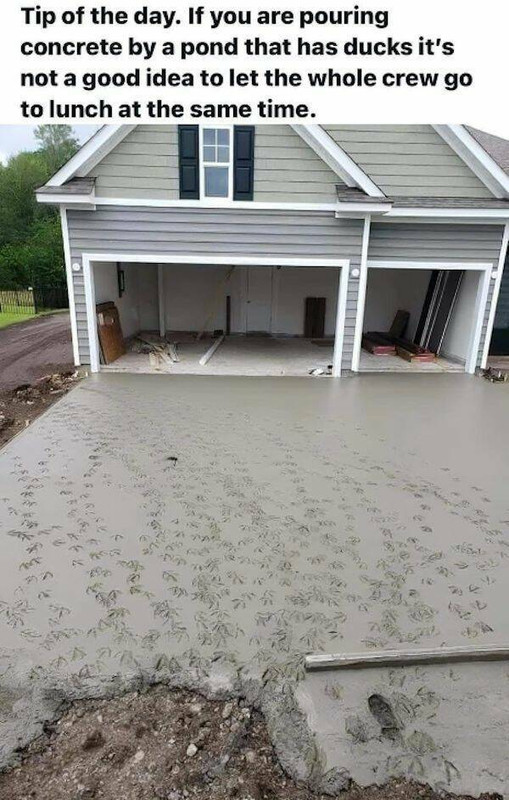 daily-picdump-57-6.jpg