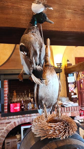 Castillo Zbiroh-21-9-2025 - República Checa y sus pueblos-2025 (31)