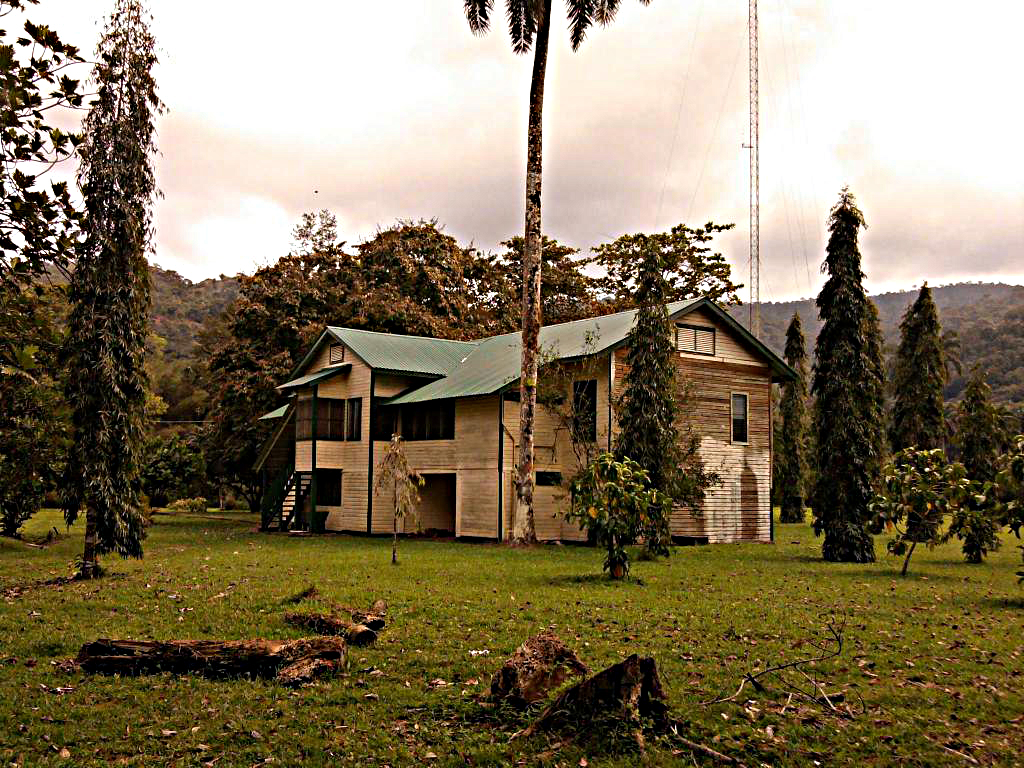 Fotos y Videos de Honduras 54279221-436361647168820-8394554249077325824-n