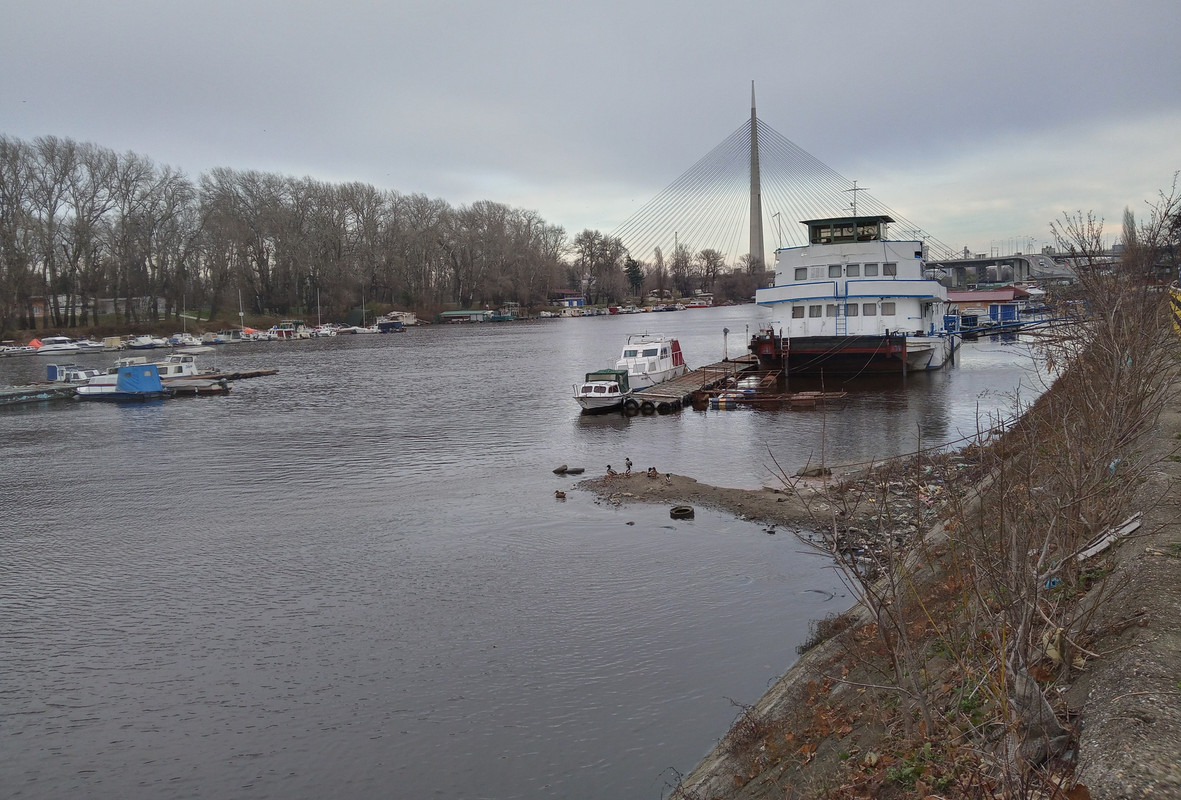 20201204_120939_HDR(1)