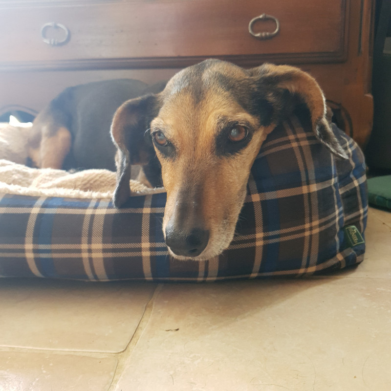 [Image: 20210629-172912.jpg]