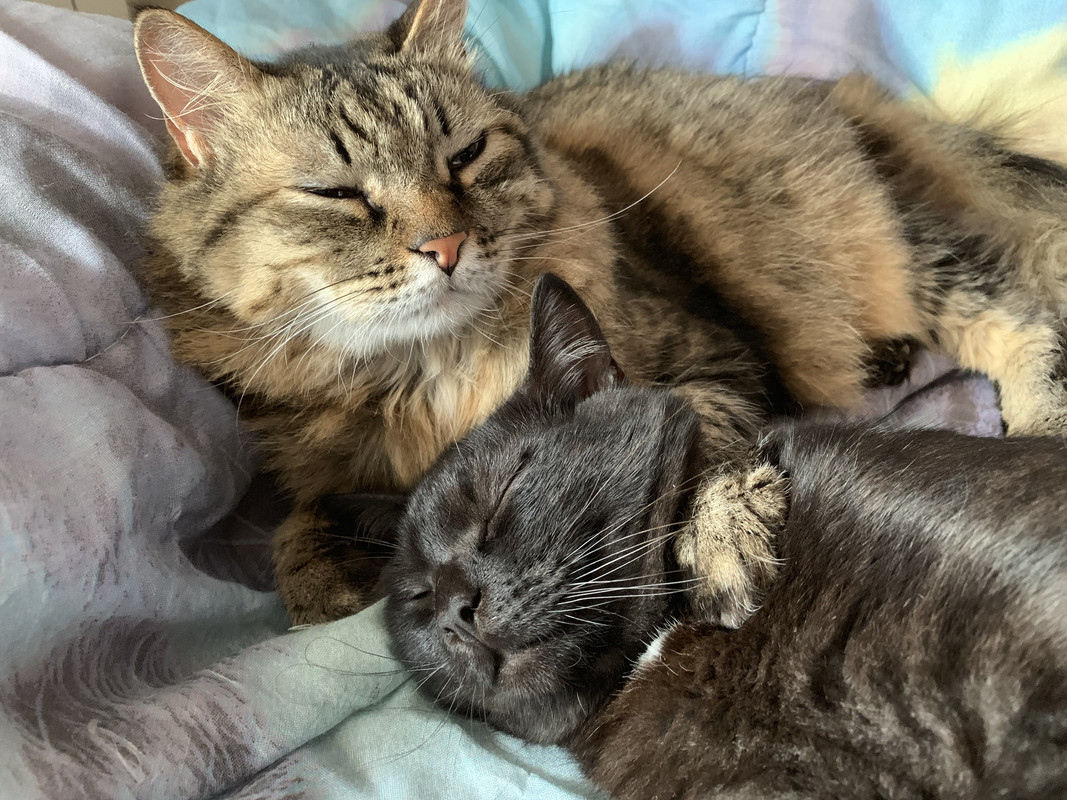 ECCE730B-FF04-40E4-8EF1-3F4185E6FA07