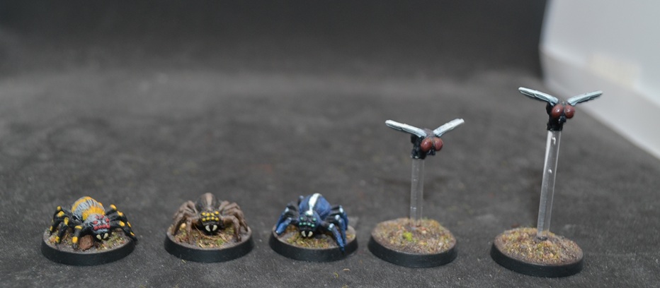 [Image: DSC_0614.jpg]